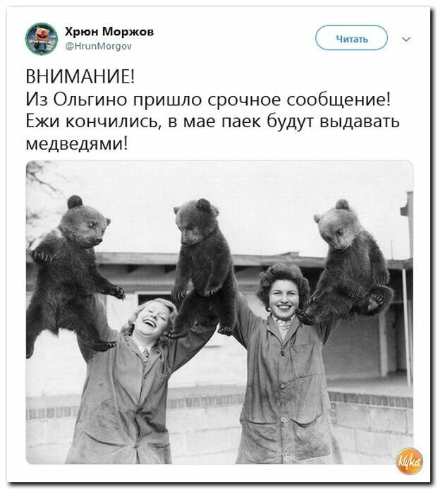 Политические картинки