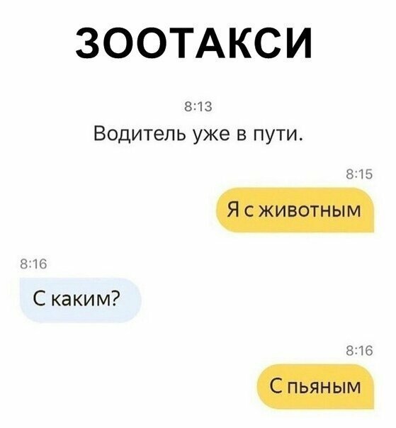 Прикольные и смешные картинки