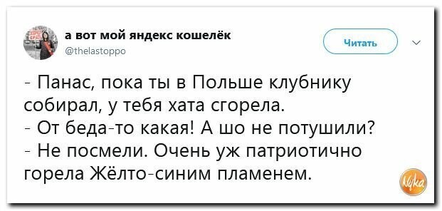 Политические картинки