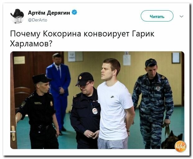 Политические картинки