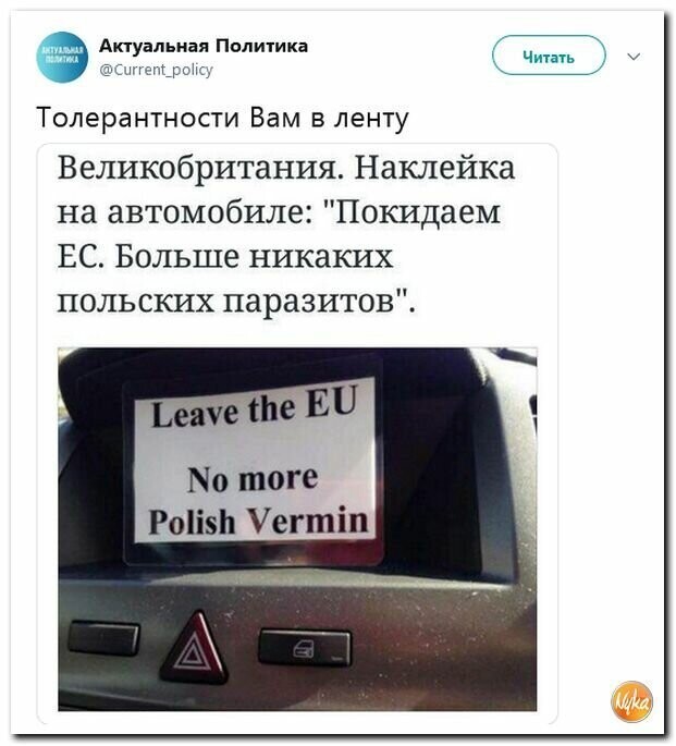Политические картинки