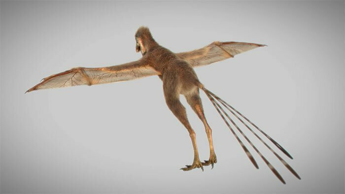 Ученые нашли динозавра-малыша с крыльями летучей мыши