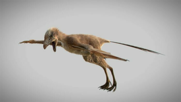 Ученые нашли динозавра-малыша с крыльями летучей мыши