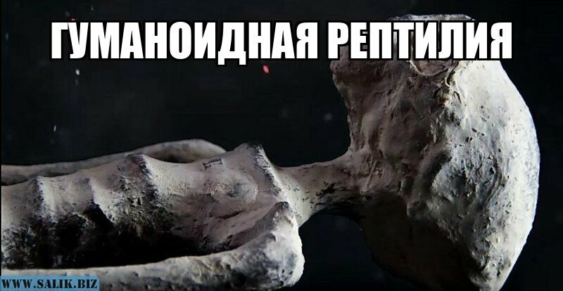 Гуманоидная рептилия - детальный анализ мумий инопланетян найденных на плато Наска