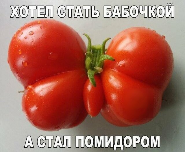 Намешалось