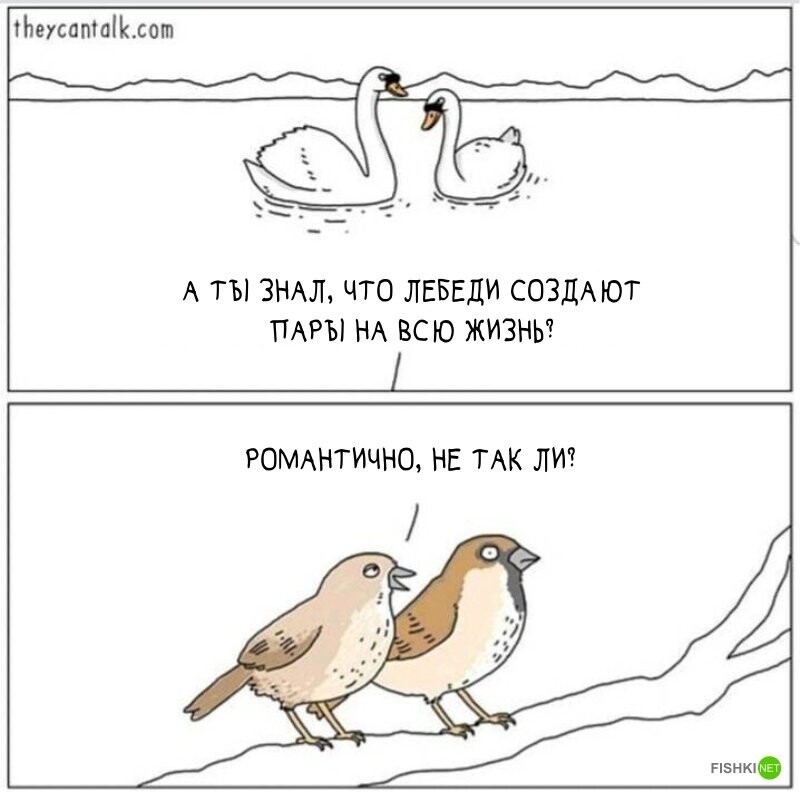 Если бы птицы могли говорить