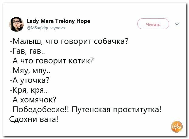 Политические картинки