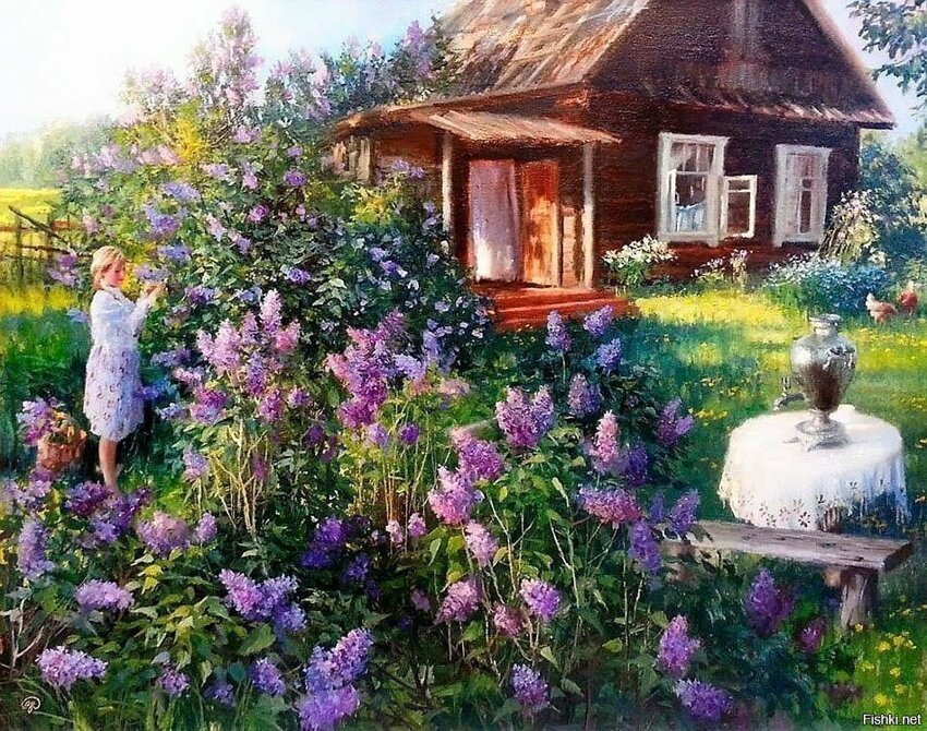 Солянка