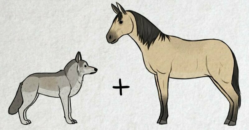 Волк + пухлый тролль: художник представил и нарисовал, как появились на свет разные породы собак