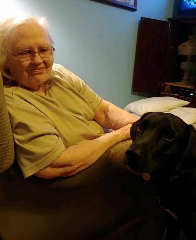 Бабушка ненавидела щенка внучки, пока он не спас ей жизнь