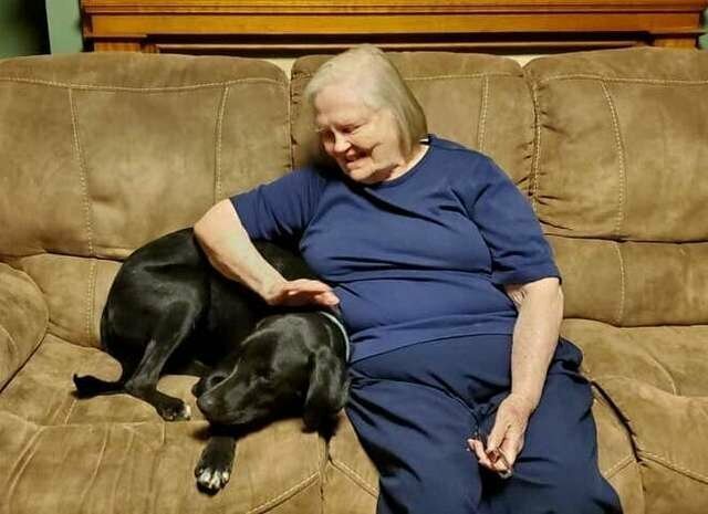 Бабушка ненавидела щенка внучки, пока он не спас ей жизнь