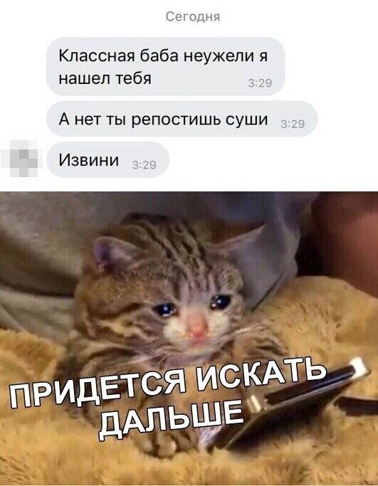 Скрины из социальных сетей