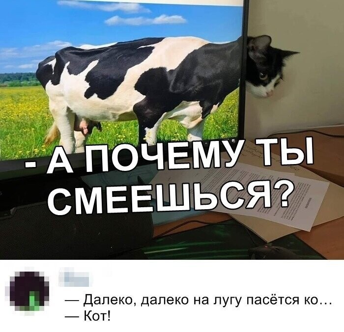 Скрины из социальных сетей