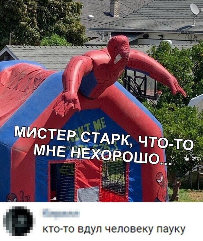 Скрины из социальных сетей