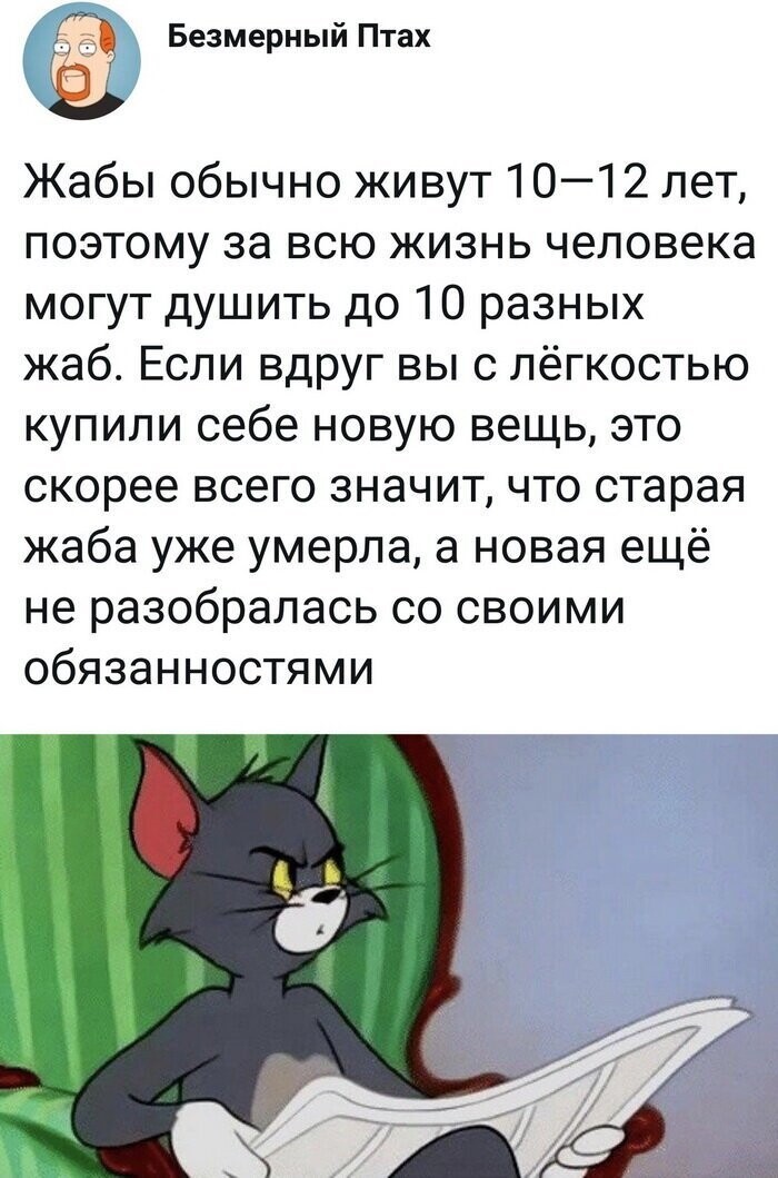 Скрины из социальных сетей