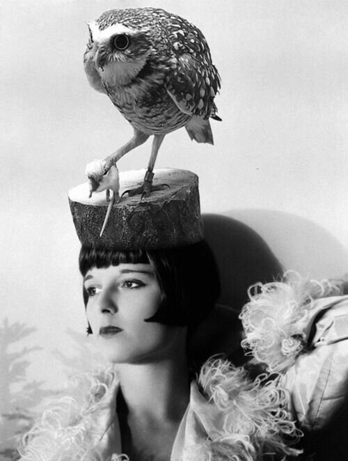 В истории моды были периоды, когда модно было помещать на шляпку птичку целиком, причем она должна была выглядеть "как живая". Это фотошоп, но далее будет интересно
