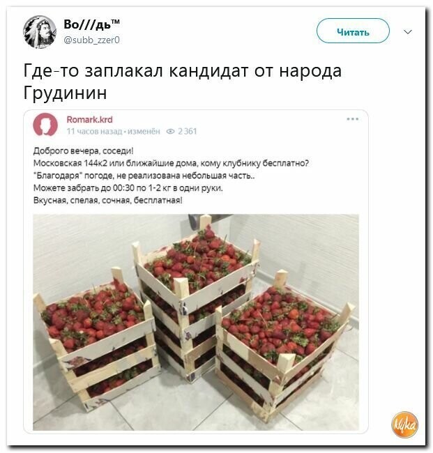 Политические картинки