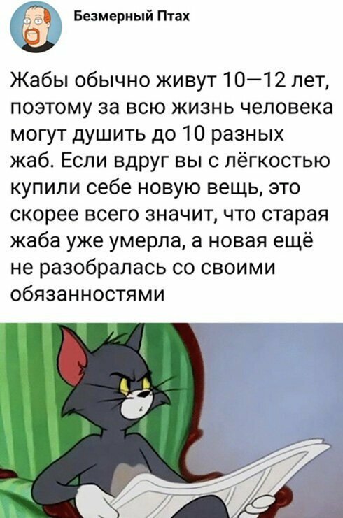 Прикольные и смешные картинки