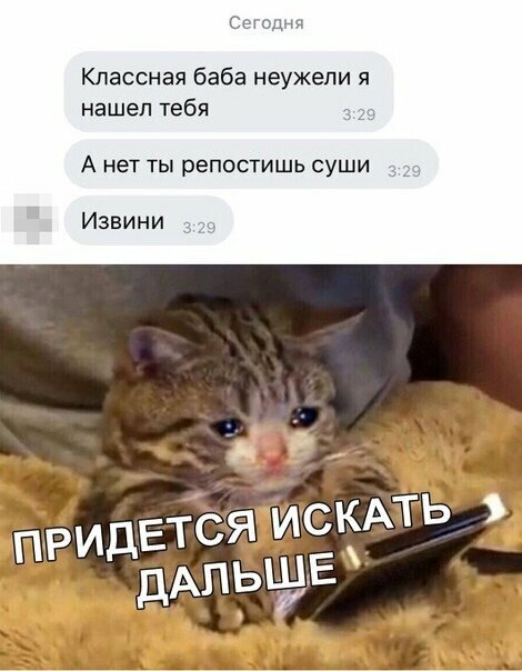 Прикольные и смешные картинки