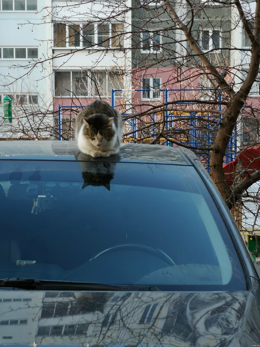 Солянка от 14.05.2019