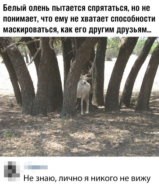 Скрины из социальных сетей