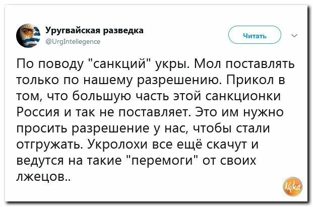 Политические картинки