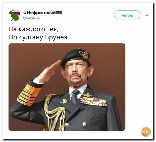 Политические картинки