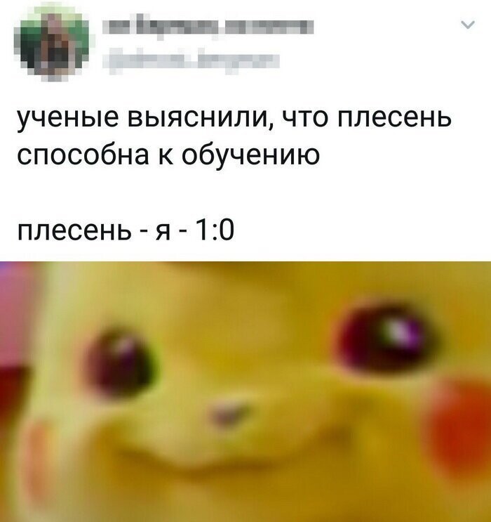 Скрины из социальных сетей