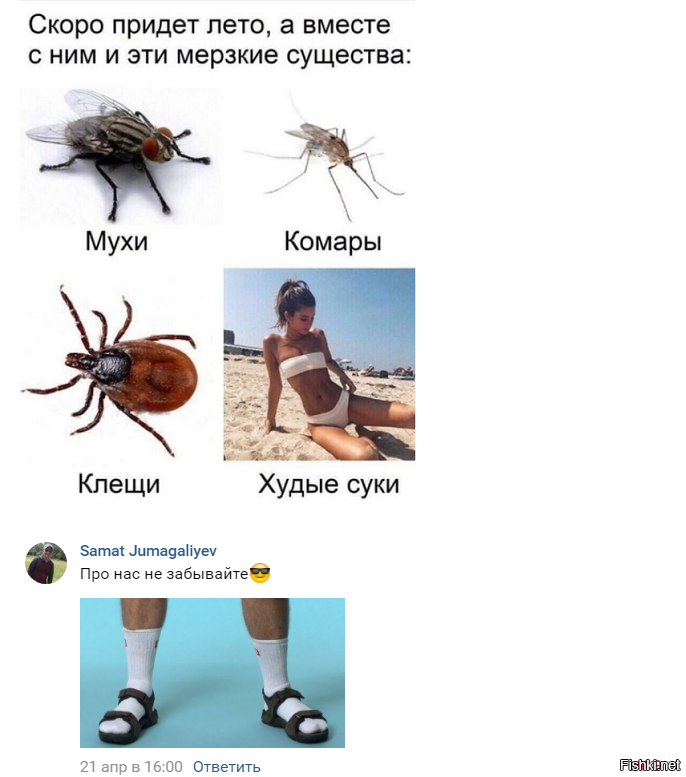 Солянка