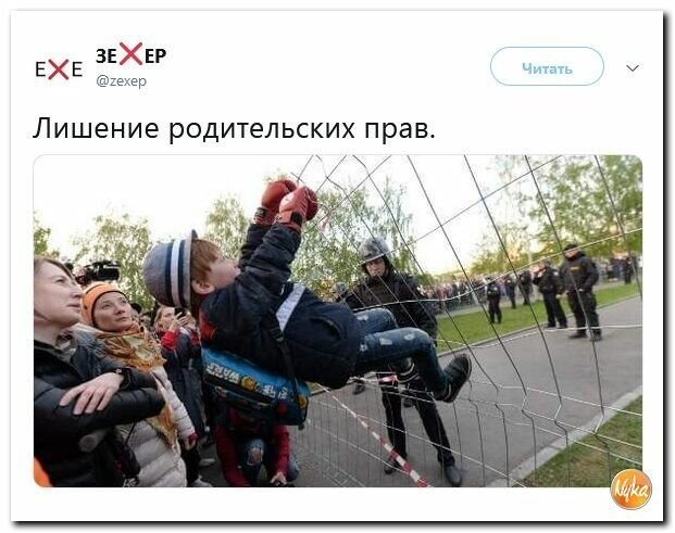 Политические картинки