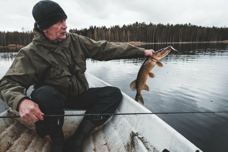 КРУПНАЯ ЩУКА в мае. ЛОМАЕТ ЗАСТЁЖКУ. Щуки обгладывают своих сородичей. Ловля на джеркбейты весной