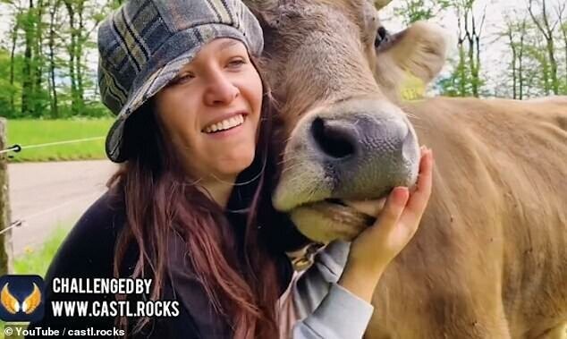 "Люди, не целуйте коров": австрийские власти бьют тревогу