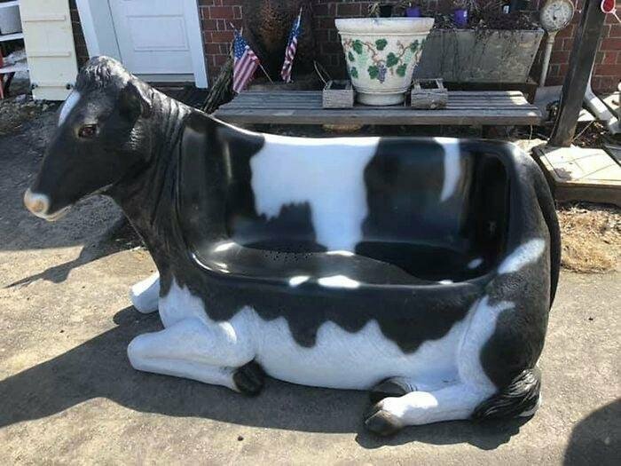 "Это скамейка в виде коровы. Богатая у кого-то фантазия"