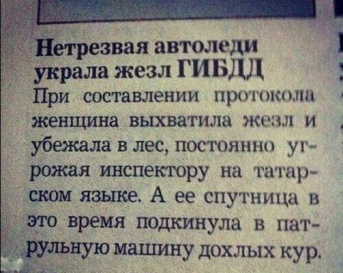 Прикольные и смешные картинки