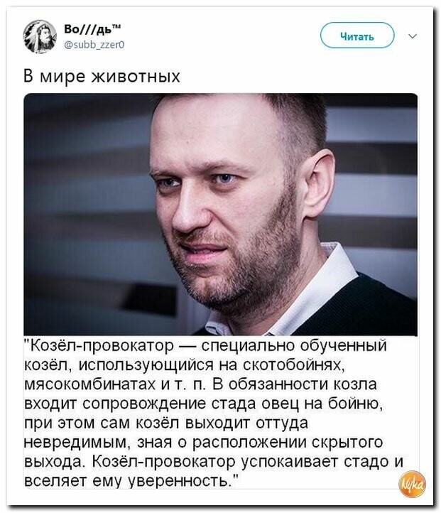 Политические картинки