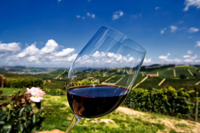Подборка интересных фактов о виноделии в Италии