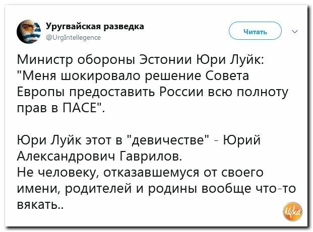 Политические картинки