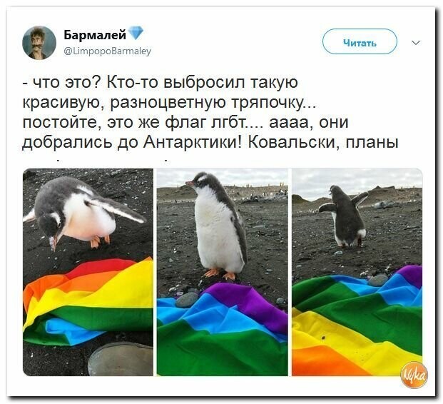 Политические картинки