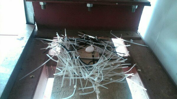 Гнездо из кабельной стяжки