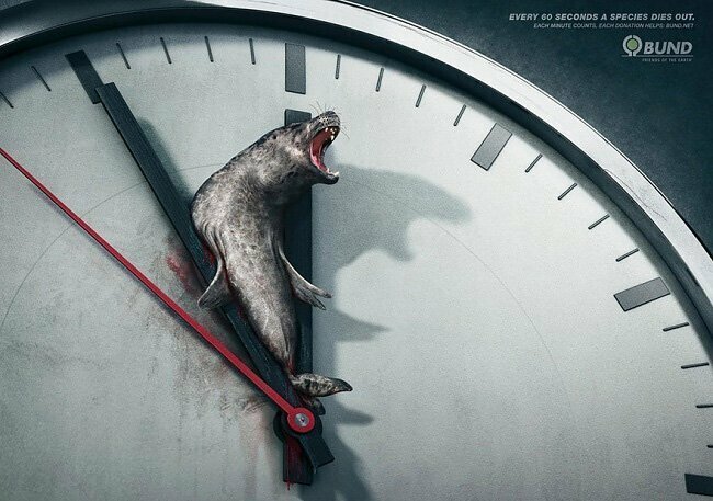 19. Каждые 60 секунд на Земле исчезает один животный вид. Каждая минута на счету. Любое пожертвование - помощь