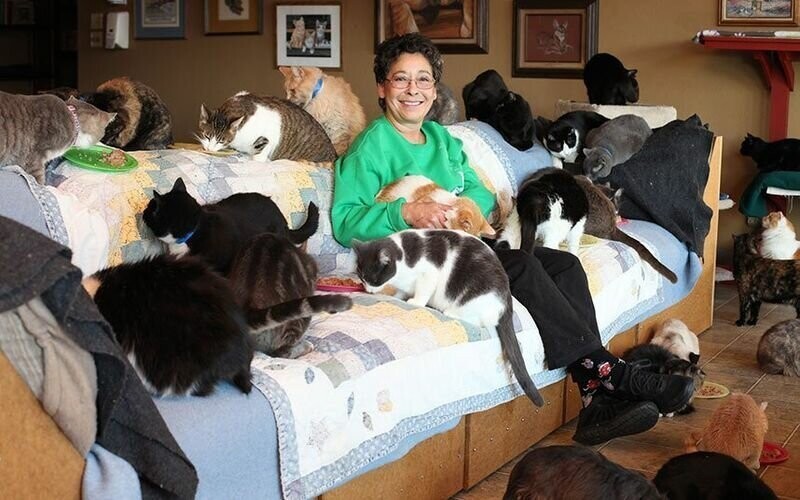 Кошкин дом: американка приютила более 1000 усатых-полосатых