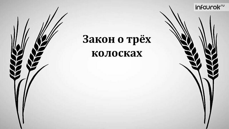 Три колоска 