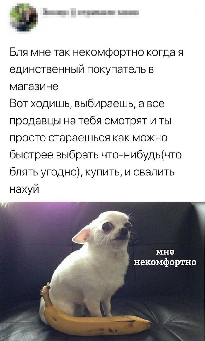 Скрины из социальных сетей