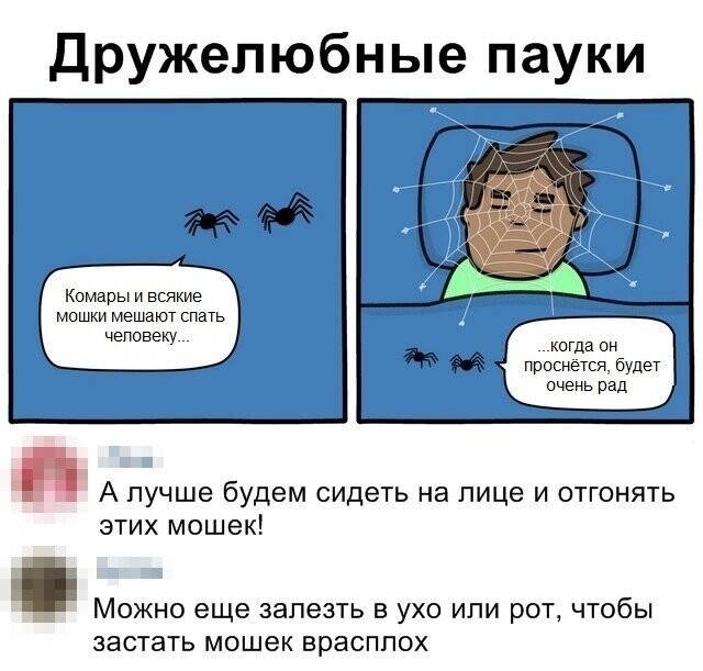 Скрины из социальных сетей