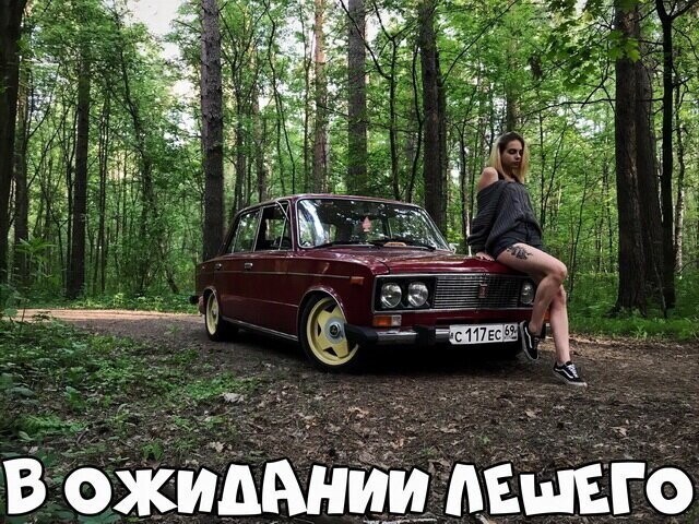 Автовсячина