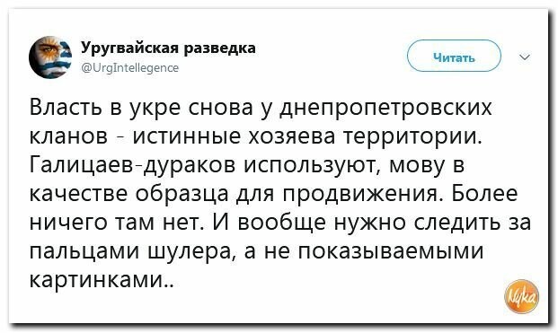 Политические картинки