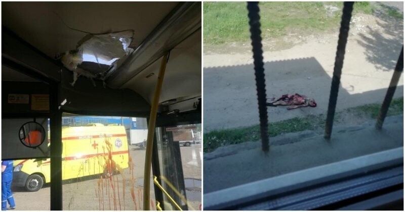 Часть тела рабочего пробила крышу автобуса