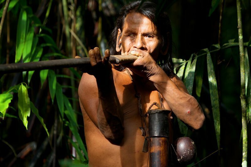 Правда ли, что индейцы смазывали свои стрелы самым смертоносным в мире ядом?