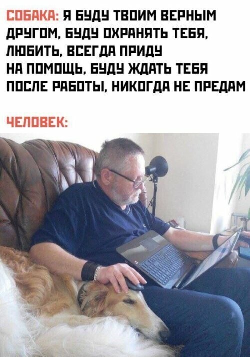 Намешалось