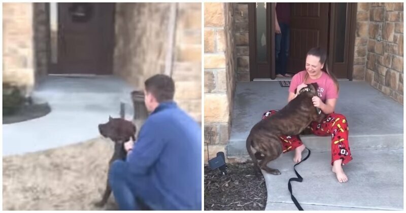 Девушка не смогла сдержать слез, увидев подаренную ей собаку